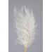 LACE FERN 16" x 6"  Bleached-